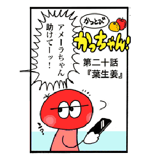 第20話 「葉生姜」