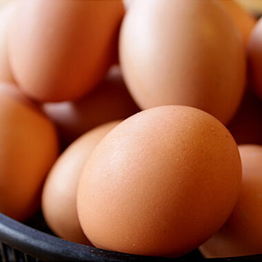 鮮度抜群　産みたてたまご