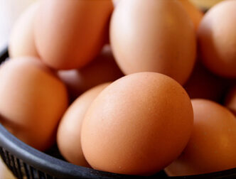 鮮度抜群　産みたてたまご