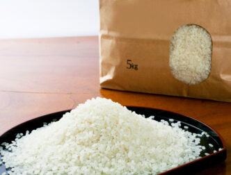 ごてんばこしひかり